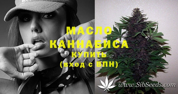 индика Абаза