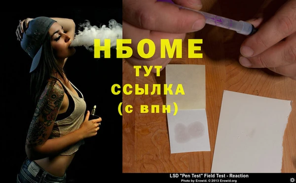 индика Абаза