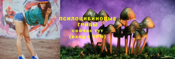 прущая мука Абинск