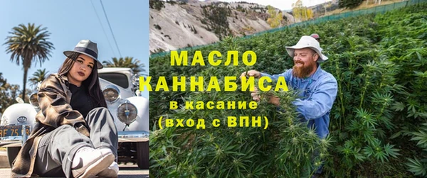 индика Абаза
