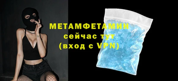 индика Абаза