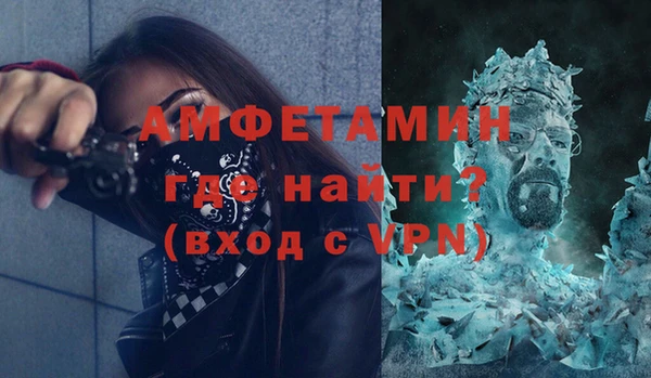 индика Абаза