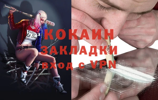 индика Абаза