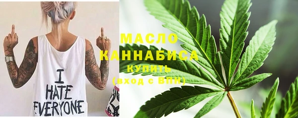 индика Абаза