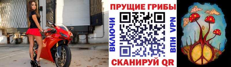 магазин  наркотиков  mega ссылки  Псилоцибиновые грибы мухоморы  Приволжск 
